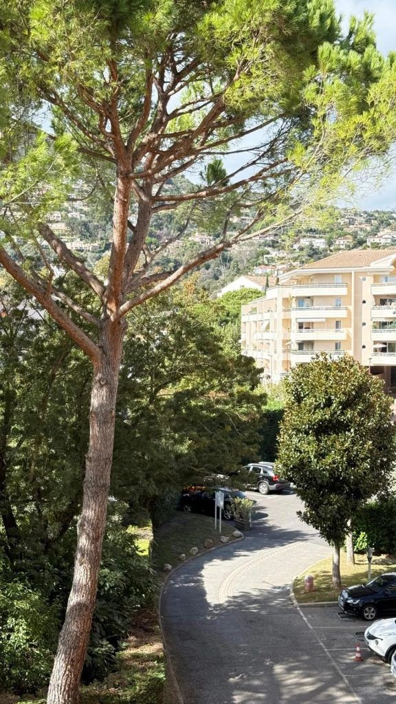 location appartement capitou mandelieu la napoule
