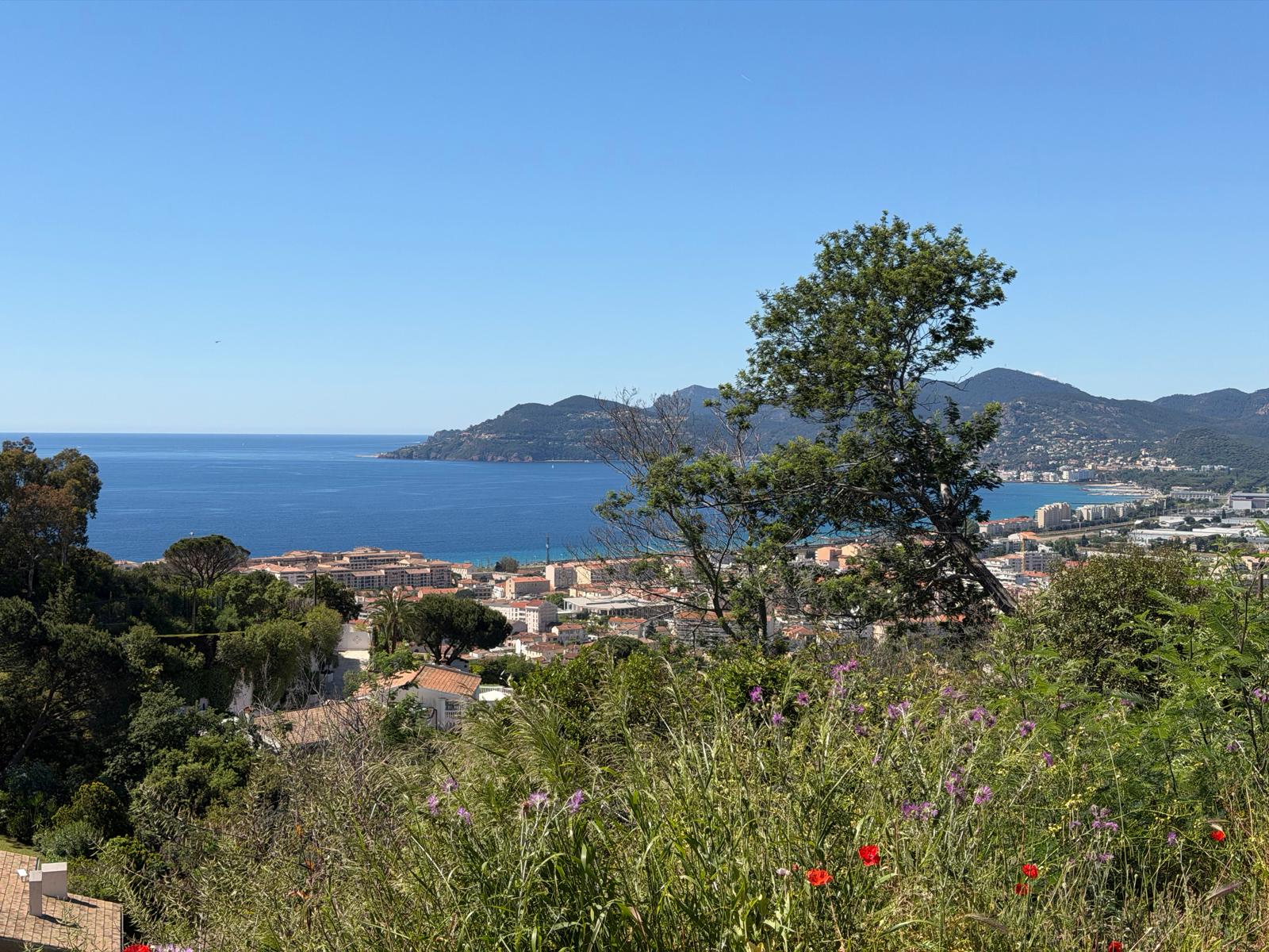 Acheter un appartement à Cannes — vue mer Côte d'Azur — Canio Immo
